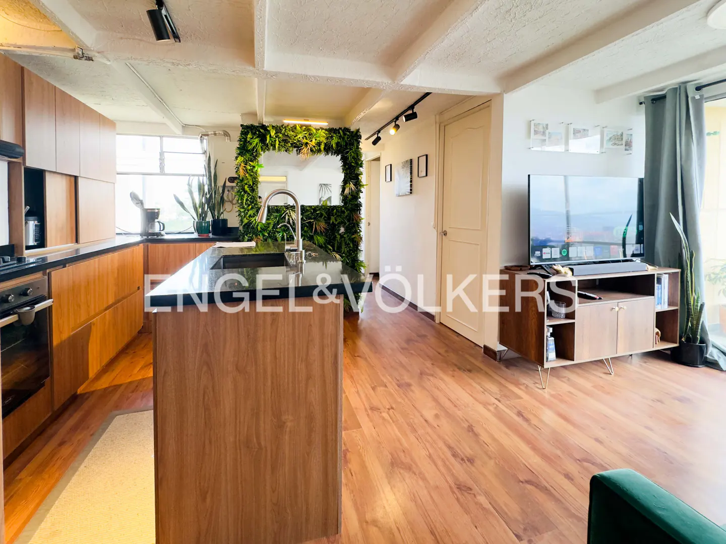 Open-concept living space with wood floors, a kitchen island, and a living wall. A TV sits on a cabinet in the living area.
