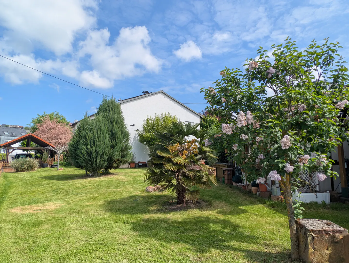A lush green lawn with trees and a white house under a blue sky with clouds.