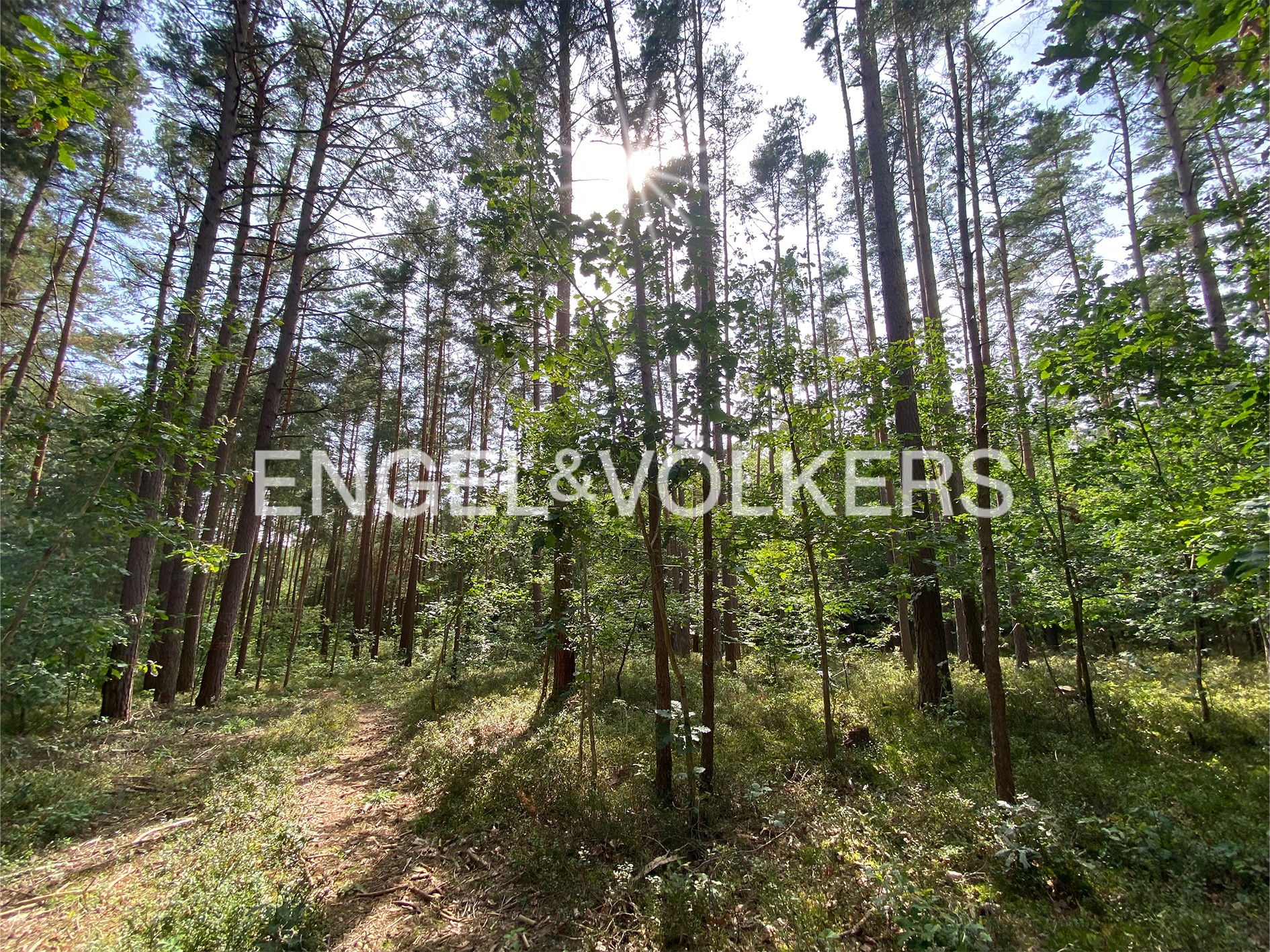 Grundstück in Seenähe zum Verkauf