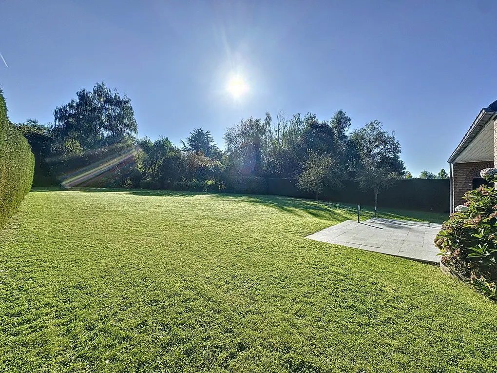 A wide shot of a large, green lawn with trees in the background under a bright, sunny sky. A stone patio is on the right.