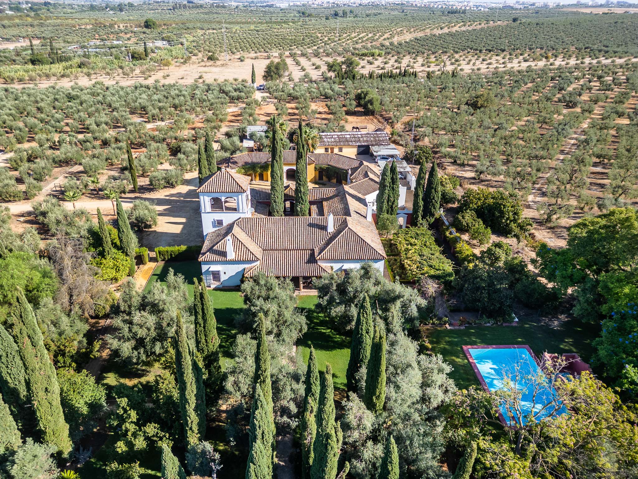 Exklusives Reitanwesen: Herrschaftliches Herrenhaus und andalusische Tradition