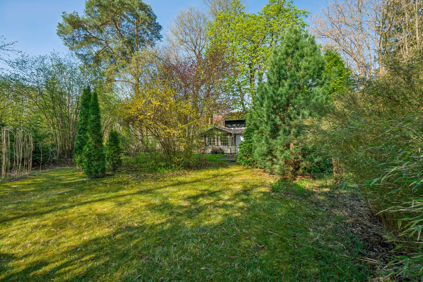 A house is nestled among trees and greenery, with a lawn in the foreground.