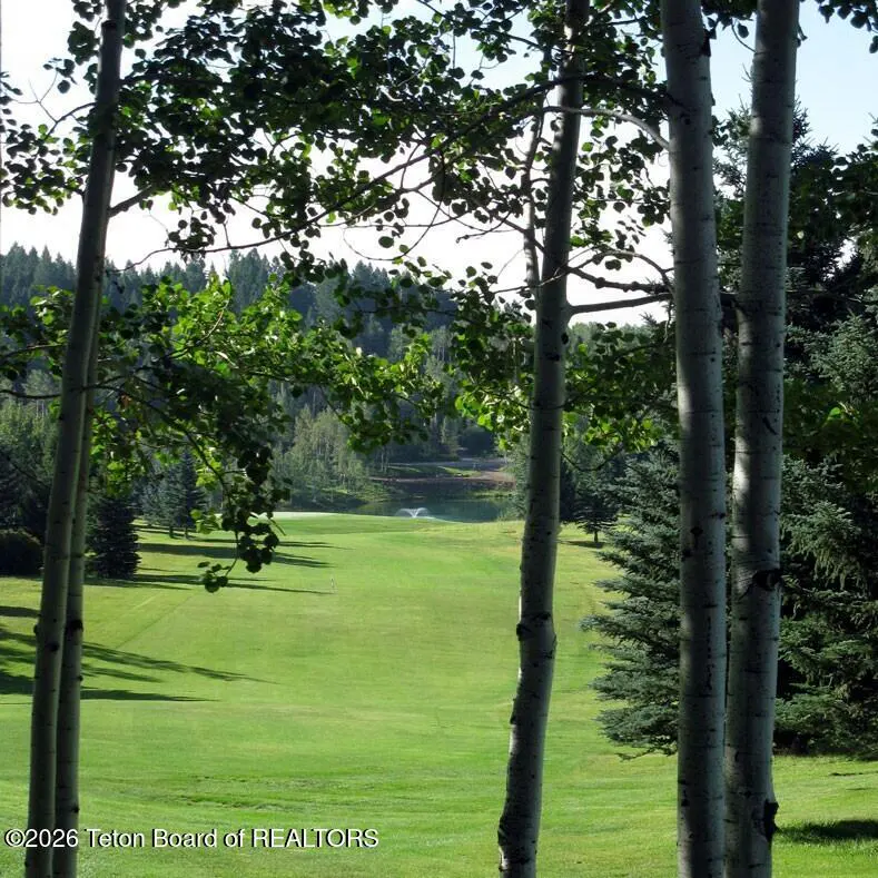 View of a lush green golf course fairway framed by white-barked aspen trees, with a distant pond and forest background.