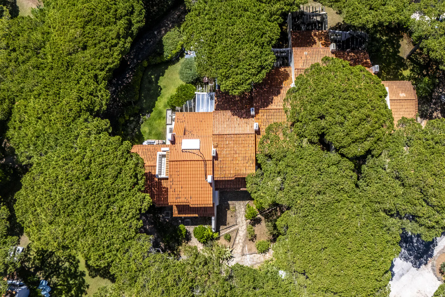 Aerial view of a house with a terracotta tile roof nestled among dense, lush green trees in a wooded setting.