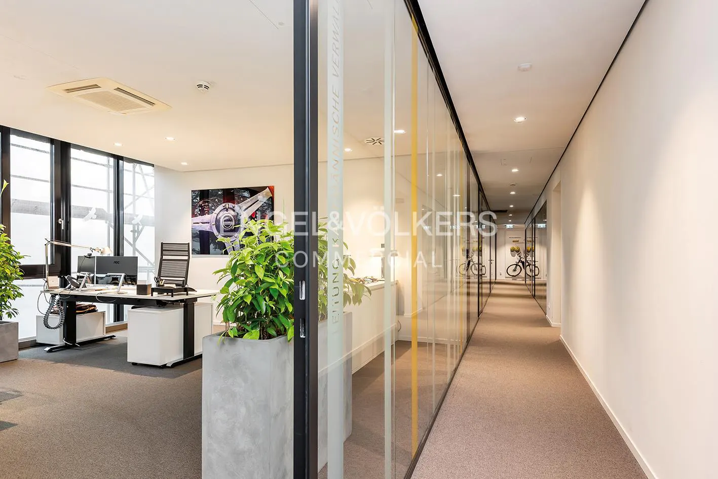 Office interior with glass-walled hallway, desks, and plants. Engel & Völkers logo visible on the glass. Neutral color scheme.