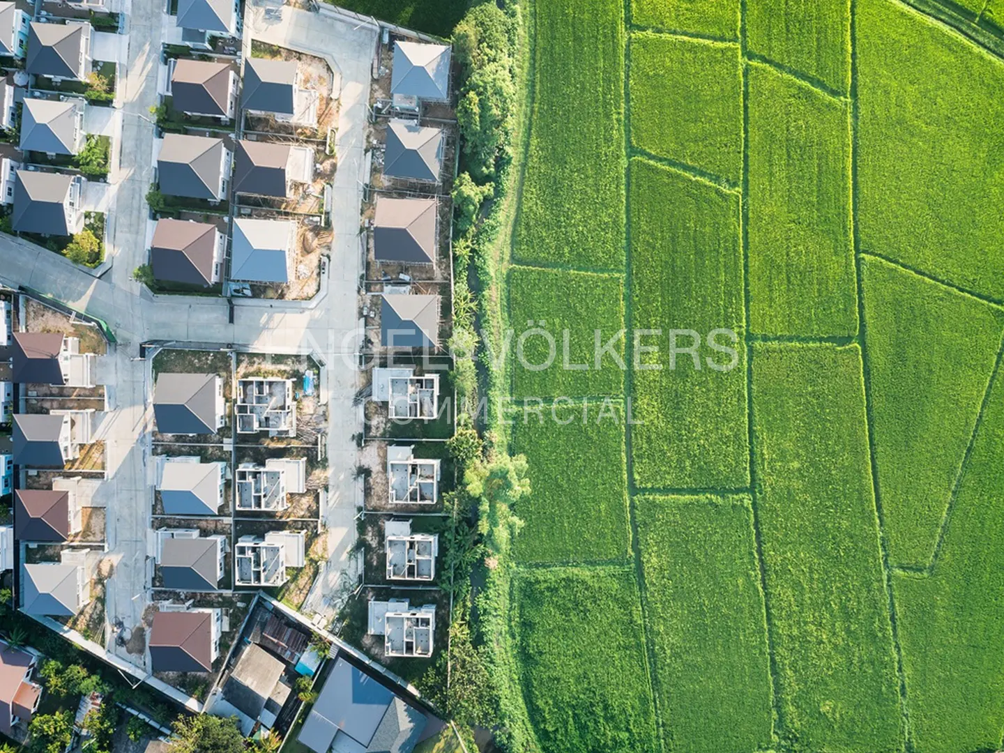 Aerial view of a housing development next to a bright green rice paddy field. Houses have gray roofs. Trees separate the houses from the field.