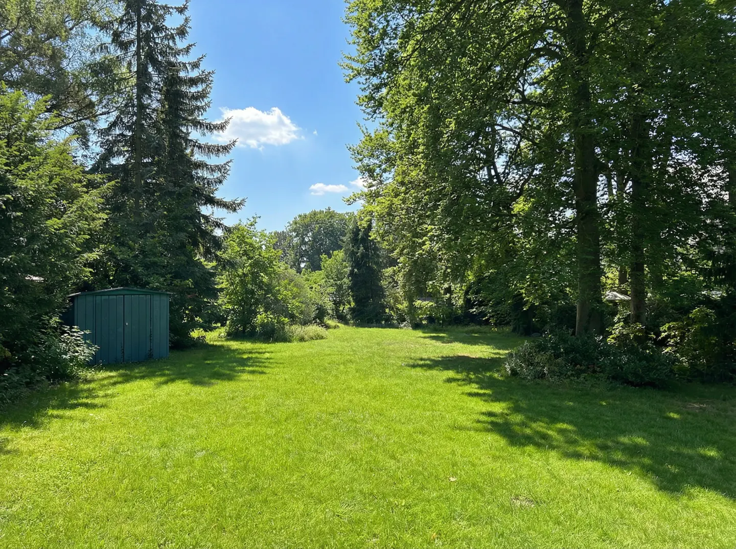 A lush green lawn surrounded by trees under a blue sky with a small green shed on the left.