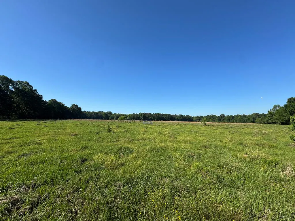 A large, green field under a clear blue sky, bordered by trees in the distance.