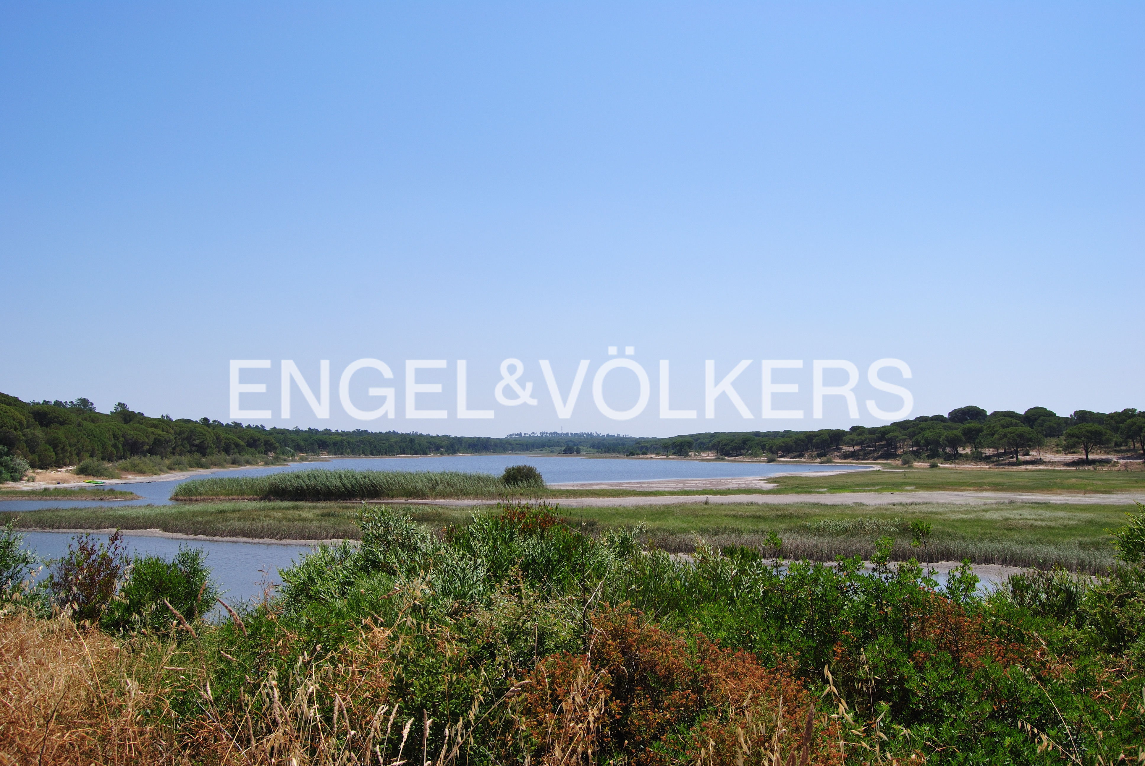 INVESTMENT: 25-hectare plot for Hotel Rural in Carvalhal