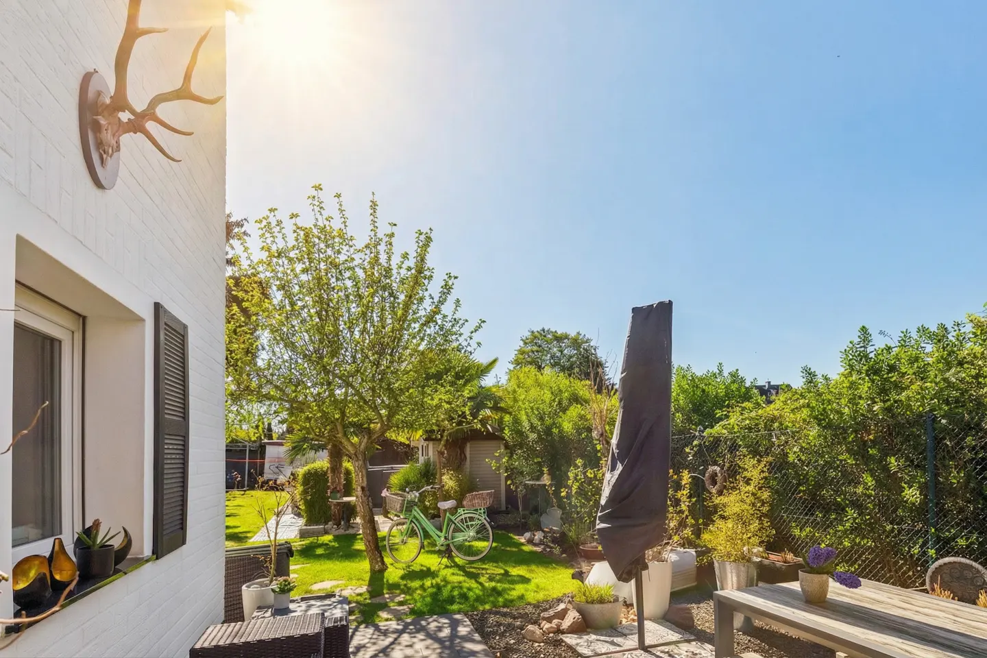 Sunny backyard with a green lawn, trees, and a light green bicycle. A white brick house with a window and antlers on the wall is visible.
