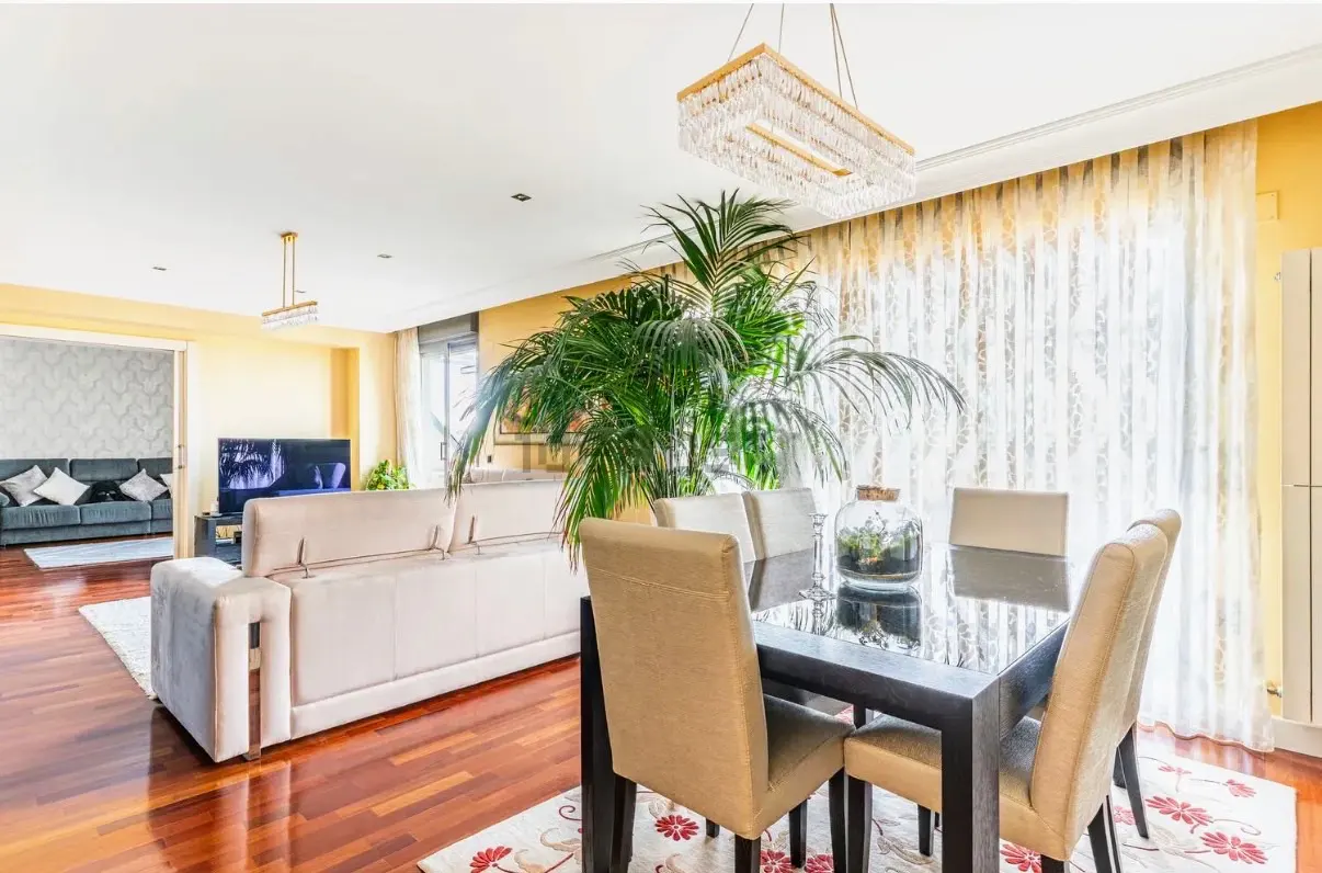Bright living room with hardwood floors, a beige sofa, and a black dining table with tan chairs. A large palm sits near sheer curtains.