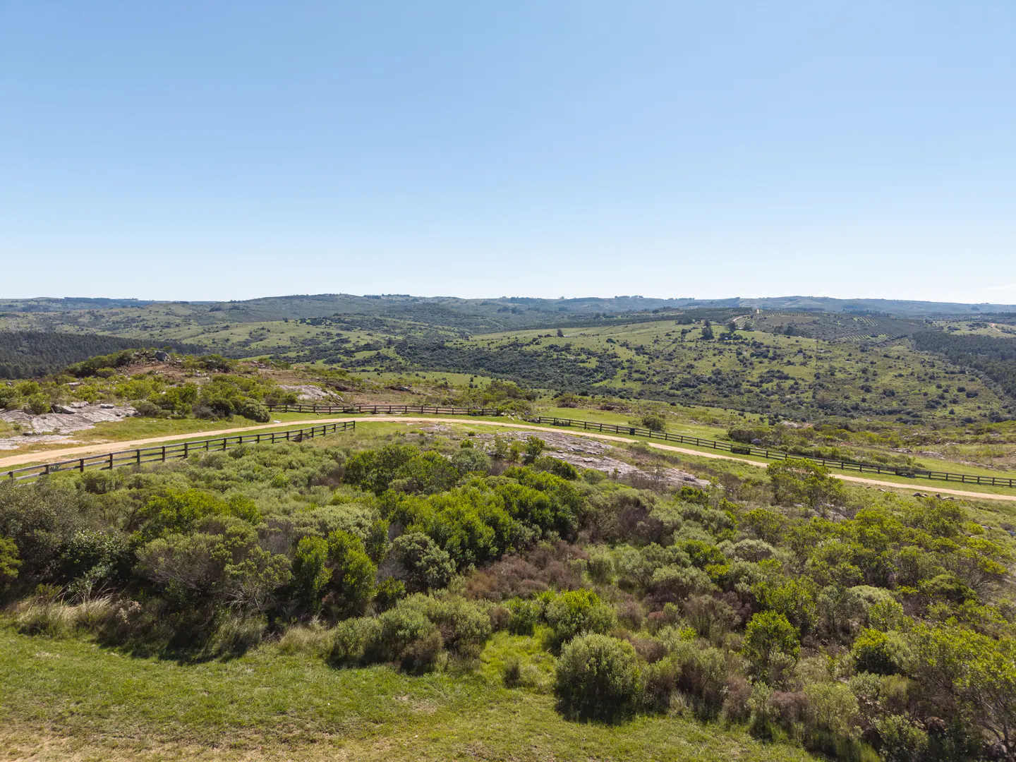 Scenic view of a green, rolling landscape under a clear blue sky. A dirt road with a wooden fence winds through the terrain.