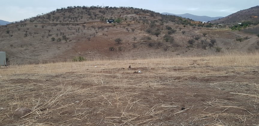 A vacant lot with dry grass in the foreground and a hill with sparse trees in the background.