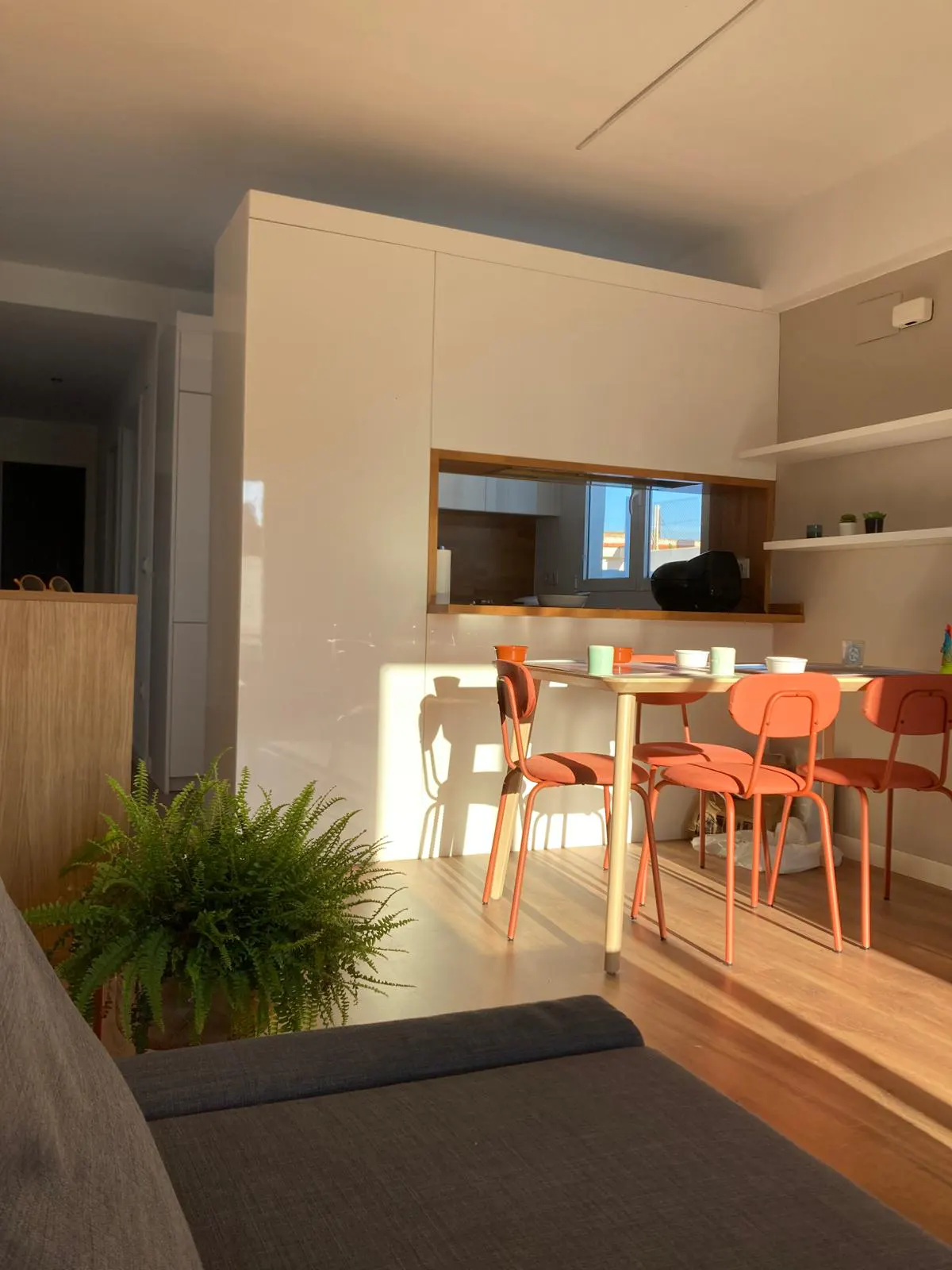 Sunlit modern apartment interior with a dining table, orange chairs, and a fern in the foreground. White cabinets and shelves are visible.