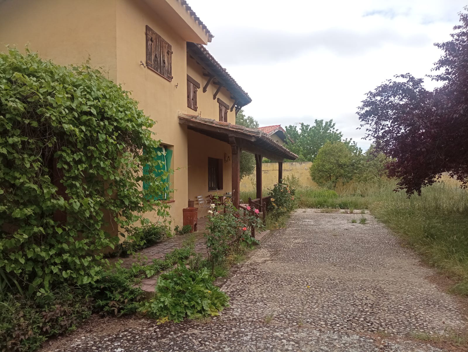 Large Urban Estate with House in Rioja Alta
