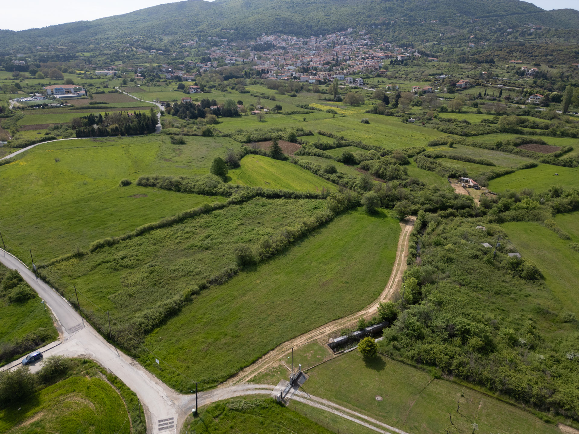 Aerial view of green fields and trees, with a small town in the distance and a mountain in the background.