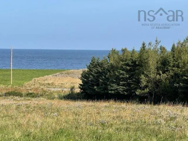 Ocean view property with tall grass in the foreground, trees in the midground, and blue ocean and sky in the background.