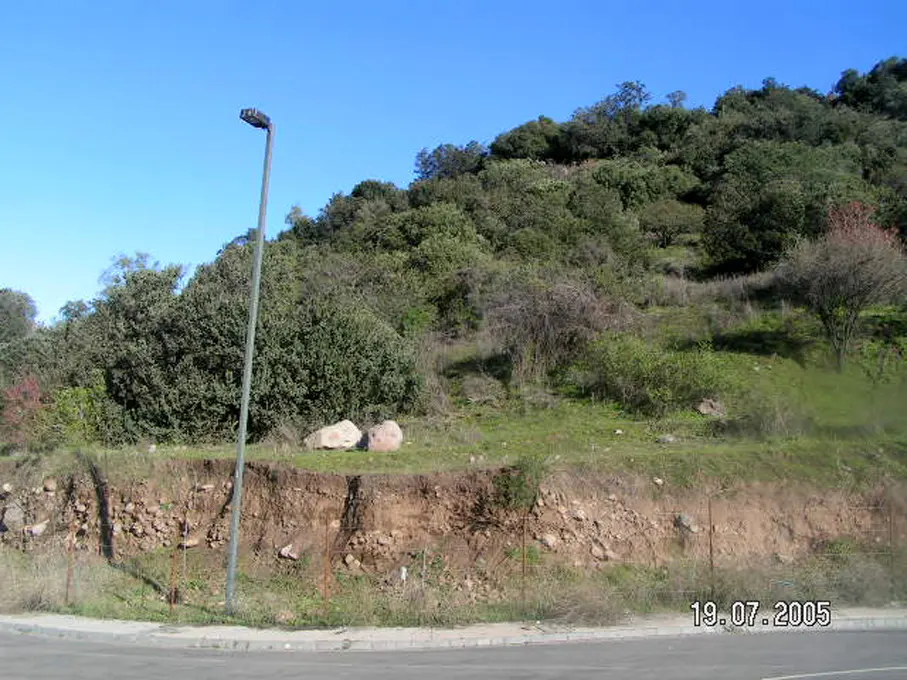 A hillside lot with green trees and grass under a blue sky, a street lamp in the foreground.