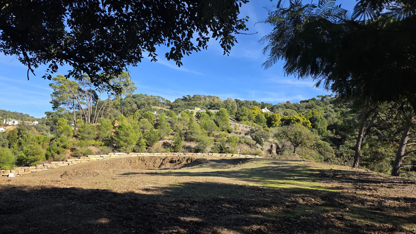 A cleared, sunlit plot of land framed by trees, with a stone retaining wall and a lush, forested hillside in the background.