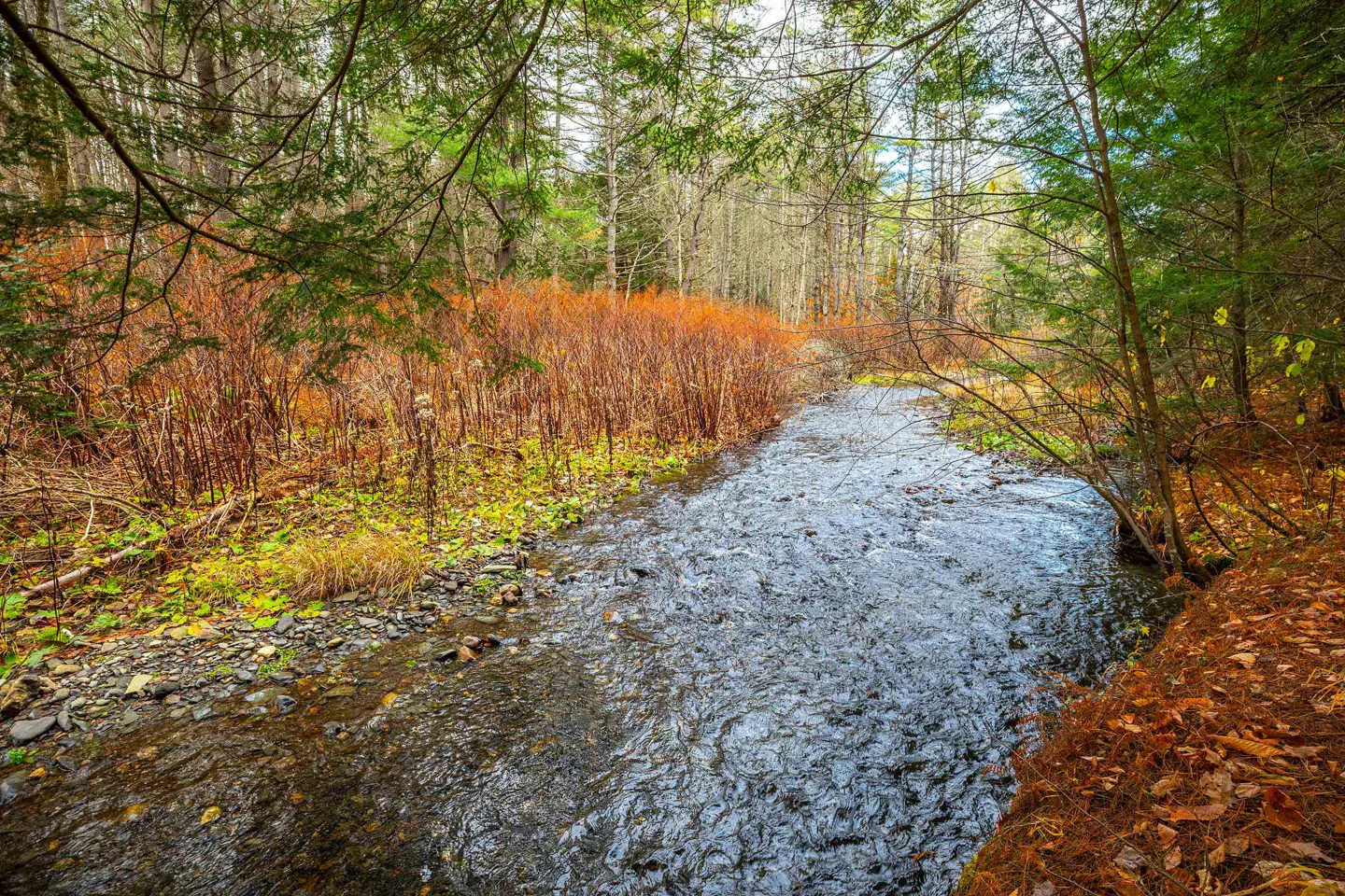 A stream flows through a forest with fall foliage. The water is clear and reflects the sky. Trees line the banks, with orange and green leaves.