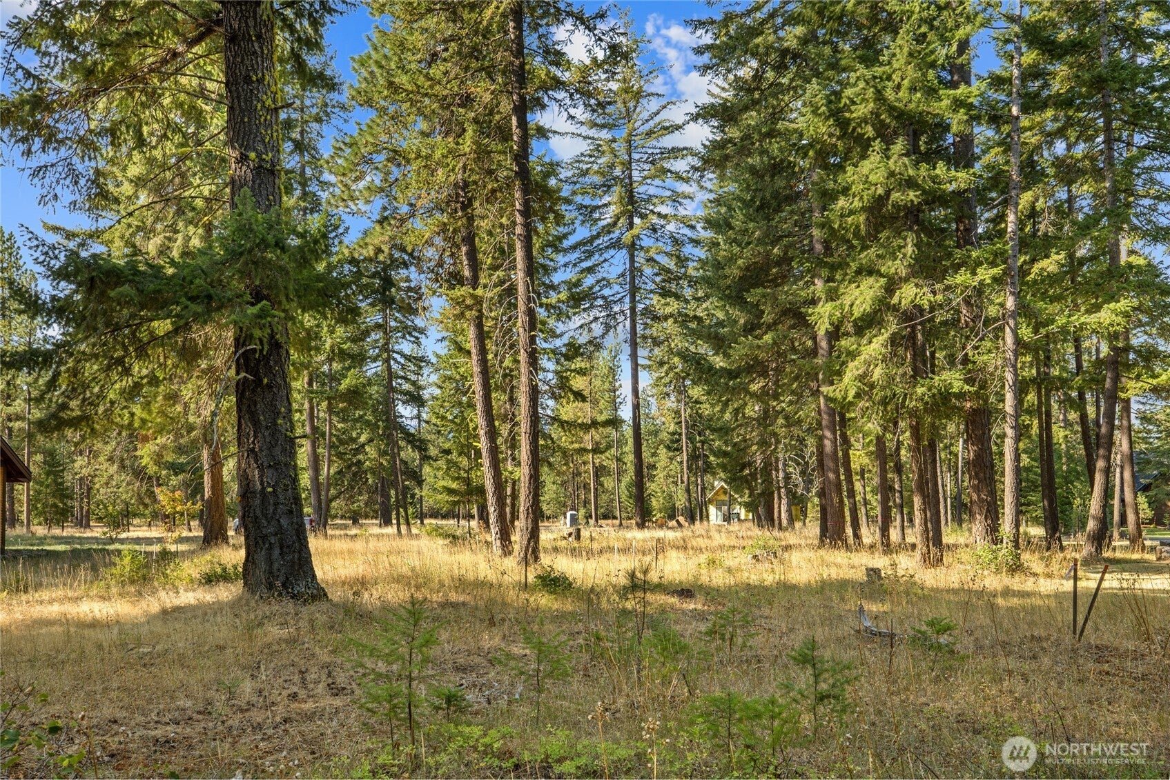 Build Your Suncadia Dream Home
