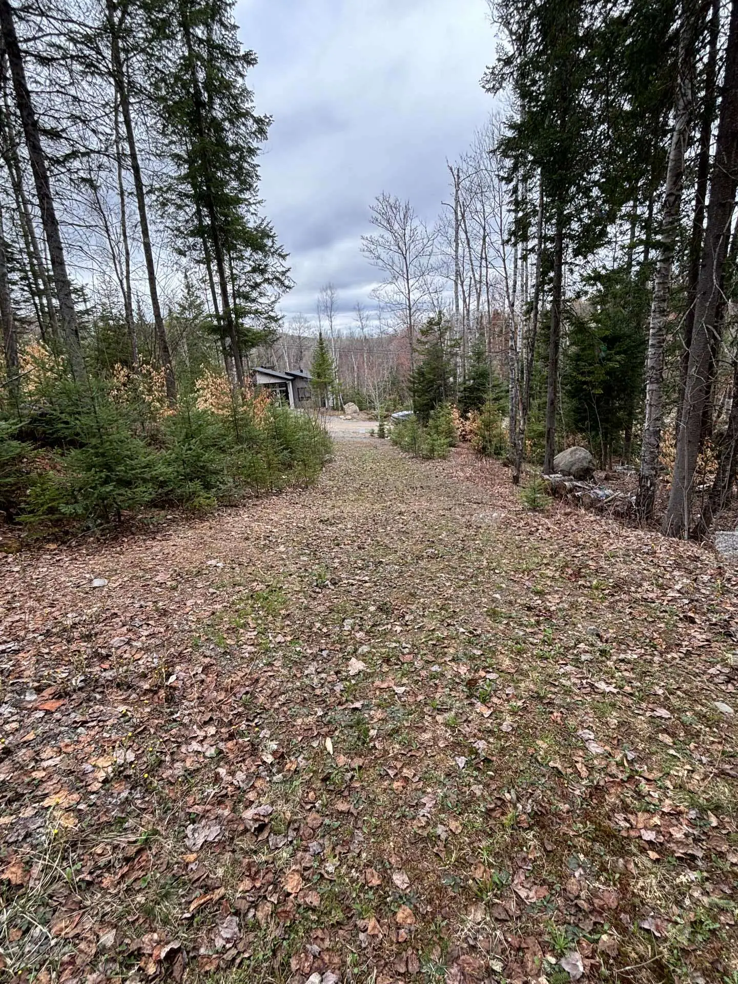 A leaf-covered path leads to a house in a wooded area under a cloudy sky.