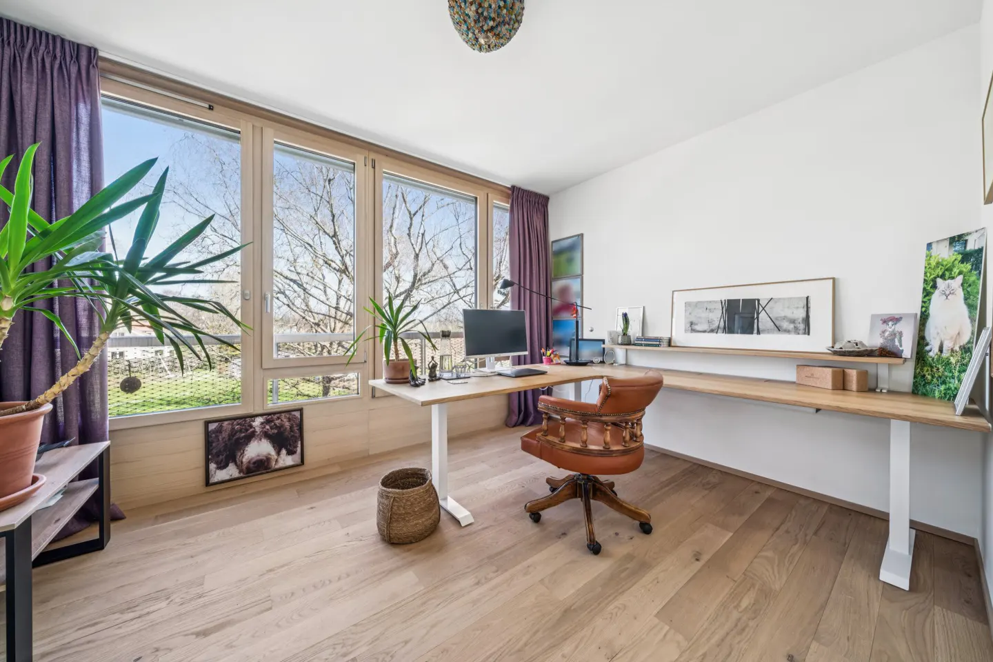 Bright home office with a large window, wooden floors, a brown leather chair, and a desk with a computer. Purple curtains frame the window.