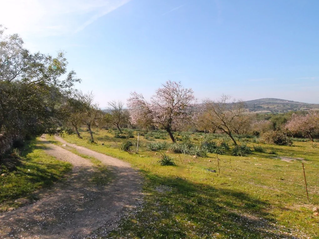 Finca plot in a picturesque rural setting near San Lorenzo