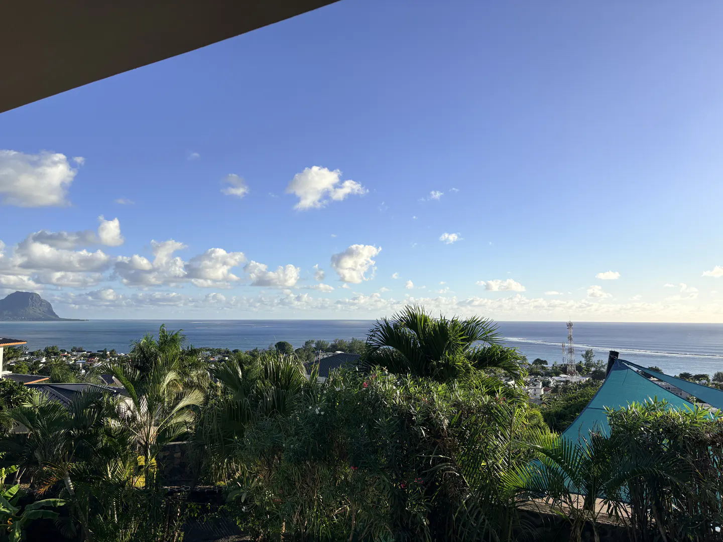 Scenic view of the ocean and sky with scattered clouds, lush green vegetation in the foreground, and a mountain in the distance.