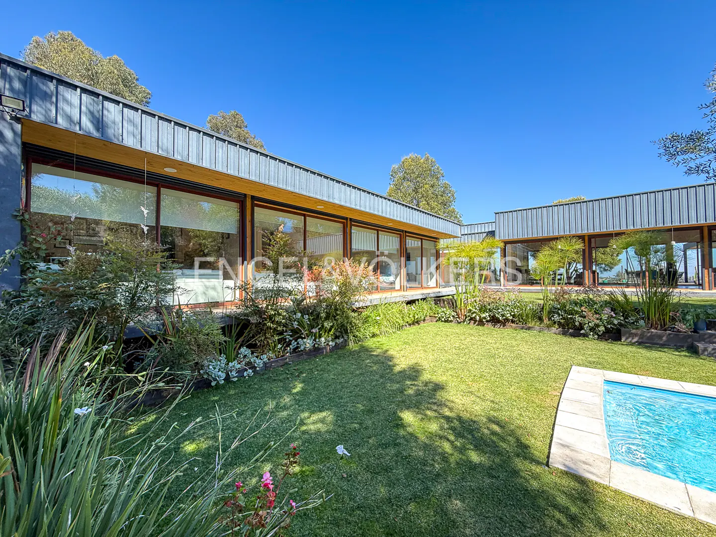 Exterior view of a modern home with large windows, a green lawn, and a blue swimming pool under a clear blue sky.
