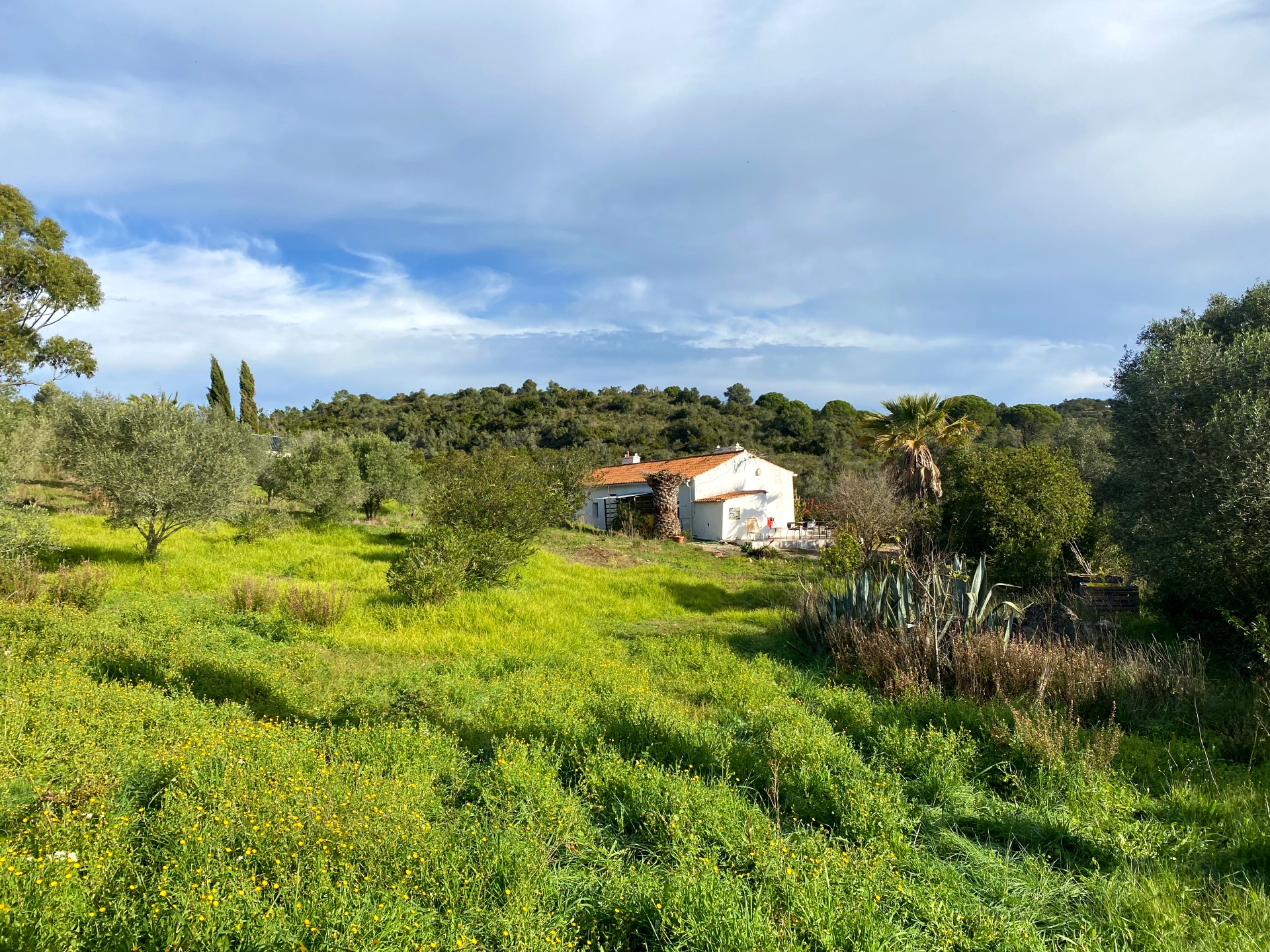 Country house to rebuild in Melides Mountains