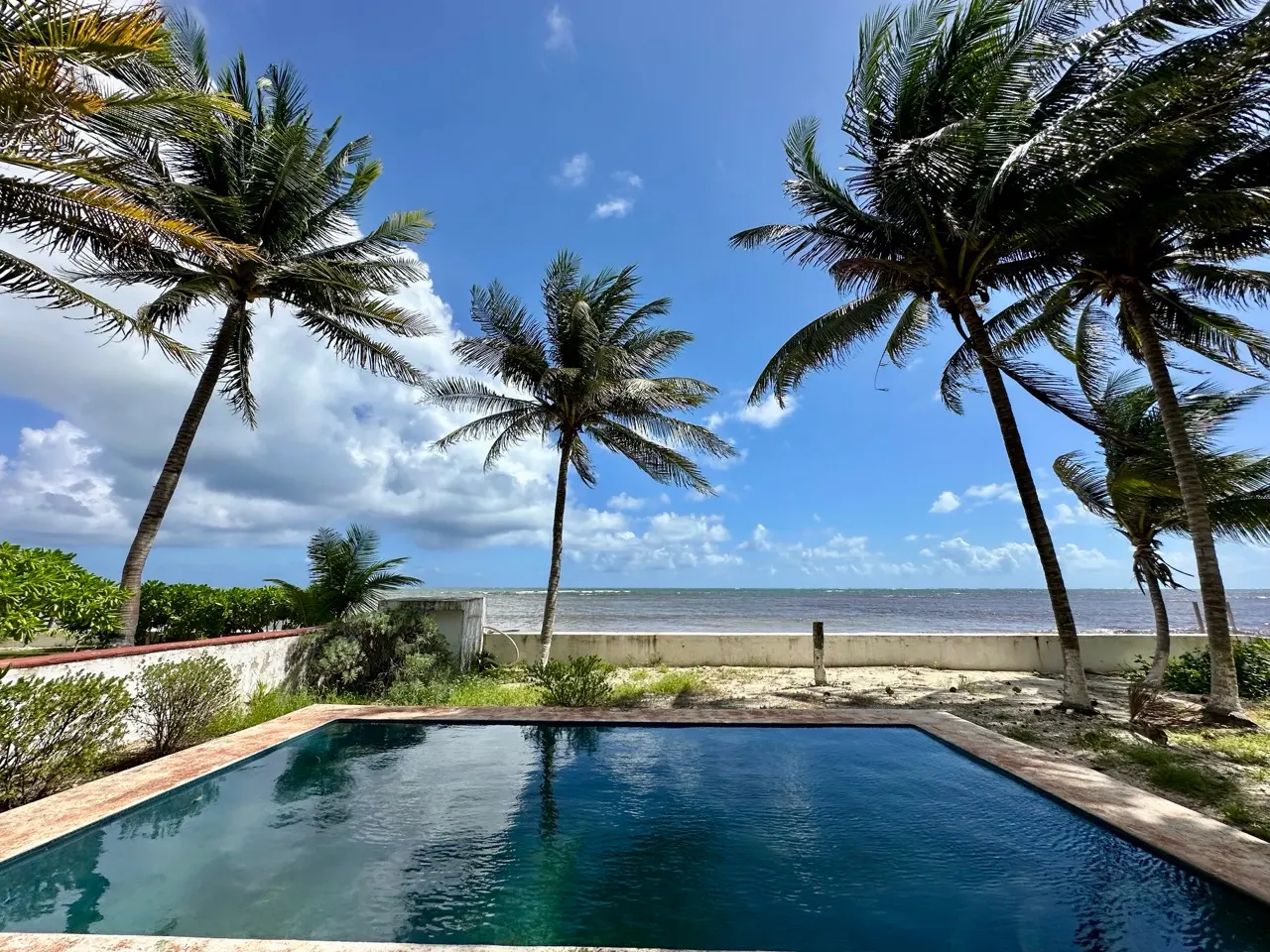 A swimming pool with palm trees and the ocean in the background on a sunny day.