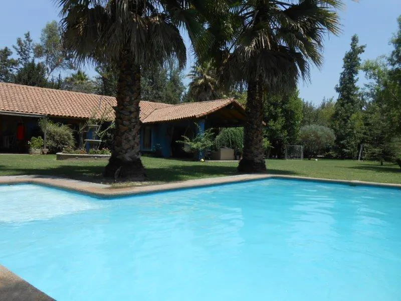 A bright blue swimming pool in the foreground, with a blue house and palm trees in the background.
