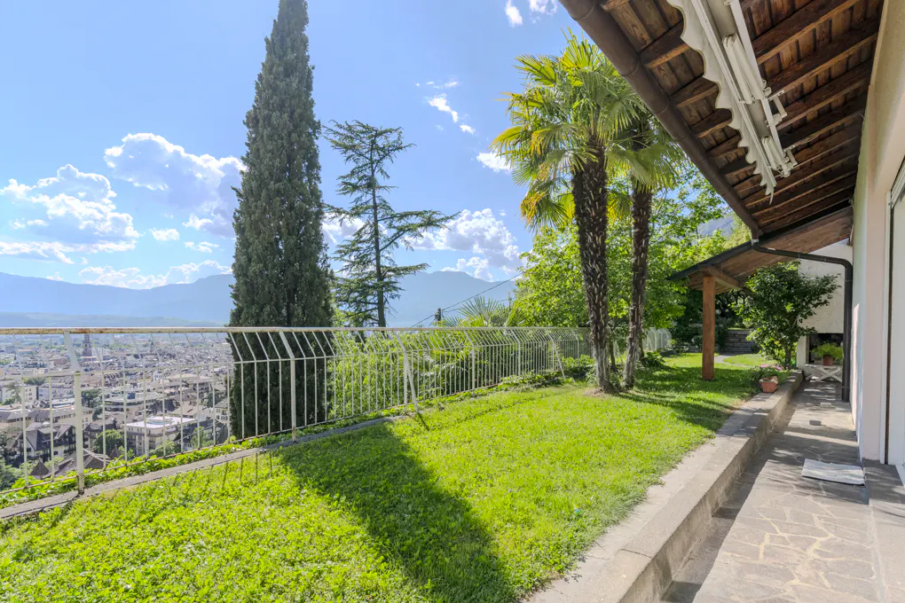 A sunny backyard with palm trees, green grass, and a view of a city and mountains in the distance.