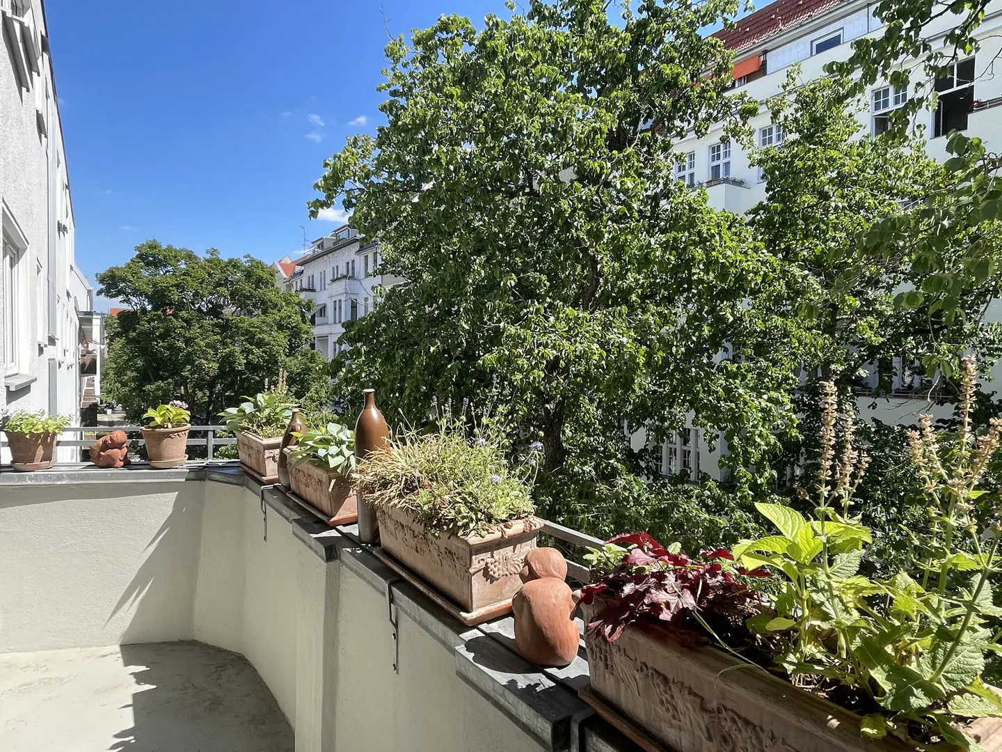 Sunny balcony with terracotta planters filled with green plants and small decorative figurines, overlooking leafy trees.