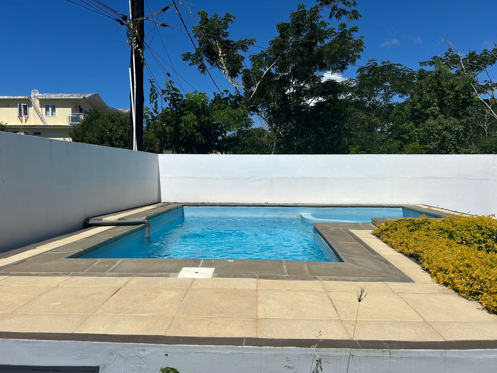 A bright blue swimming pool is surrounded by a stone patio and a white wall, with green trees in the background.