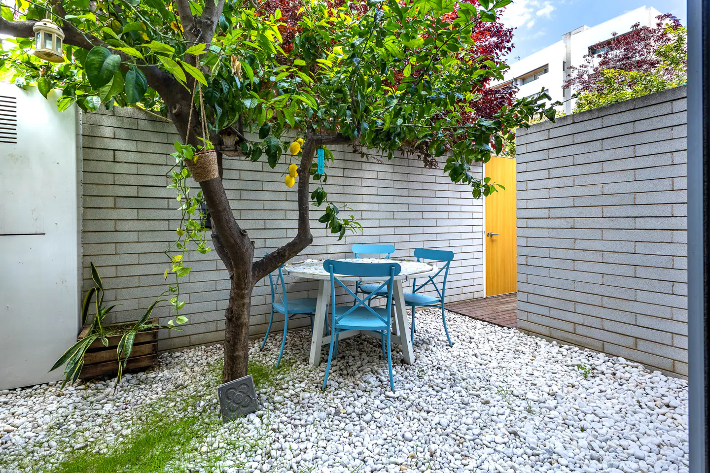 A small courtyard with a lemon tree, a white table, and four blue chairs on white pebbles. A brick wall surrounds the space.