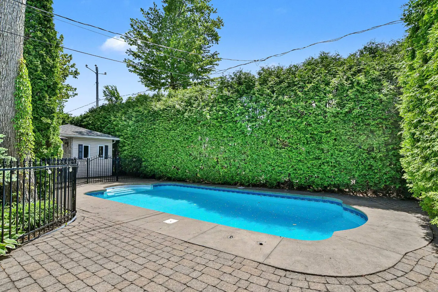 Backyard swimming pool with blue water, surrounded by a stone patio, black metal fence, and tall privacy hedges.
