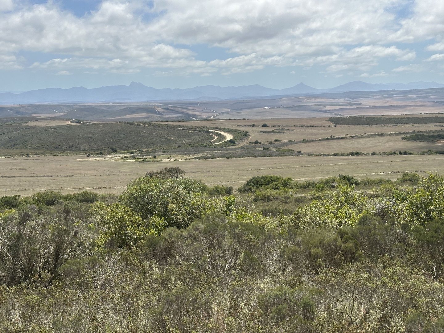 288ha Farm Close to Mossel Bay
