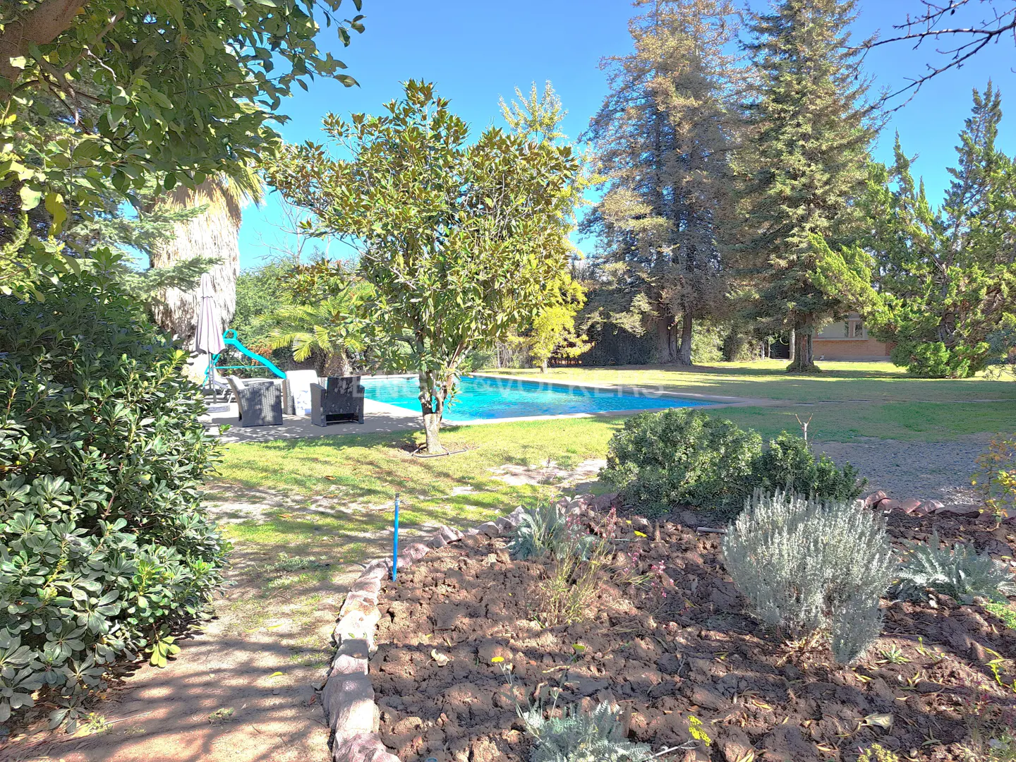 A backyard with a blue pool, green grass, trees, and a flower bed in the foreground.