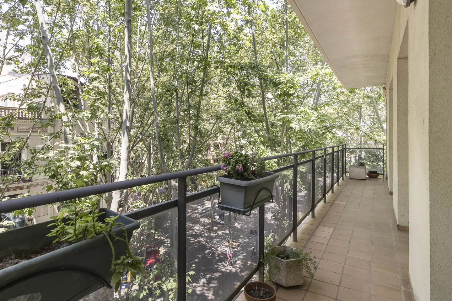 A long balcony with a black metal railing and glass panels overlooks a street lined with tall trees. Flower pots are placed along the railing.