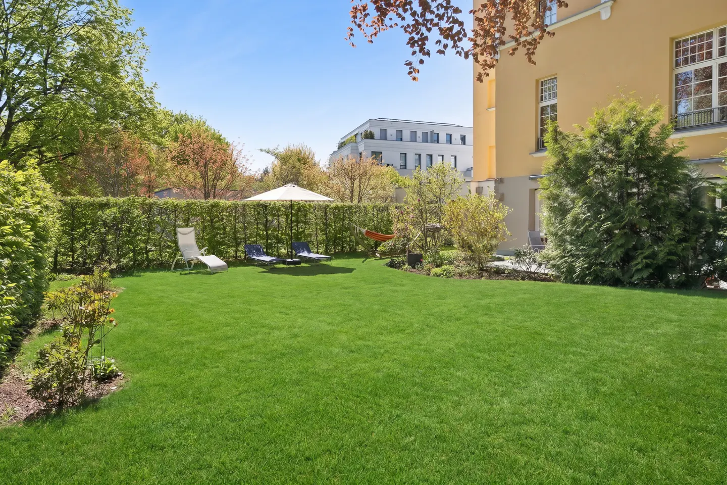 A lush green lawn with lounge chairs and a hammock, bordered by a tall hedge and trees, next to a yellow building.