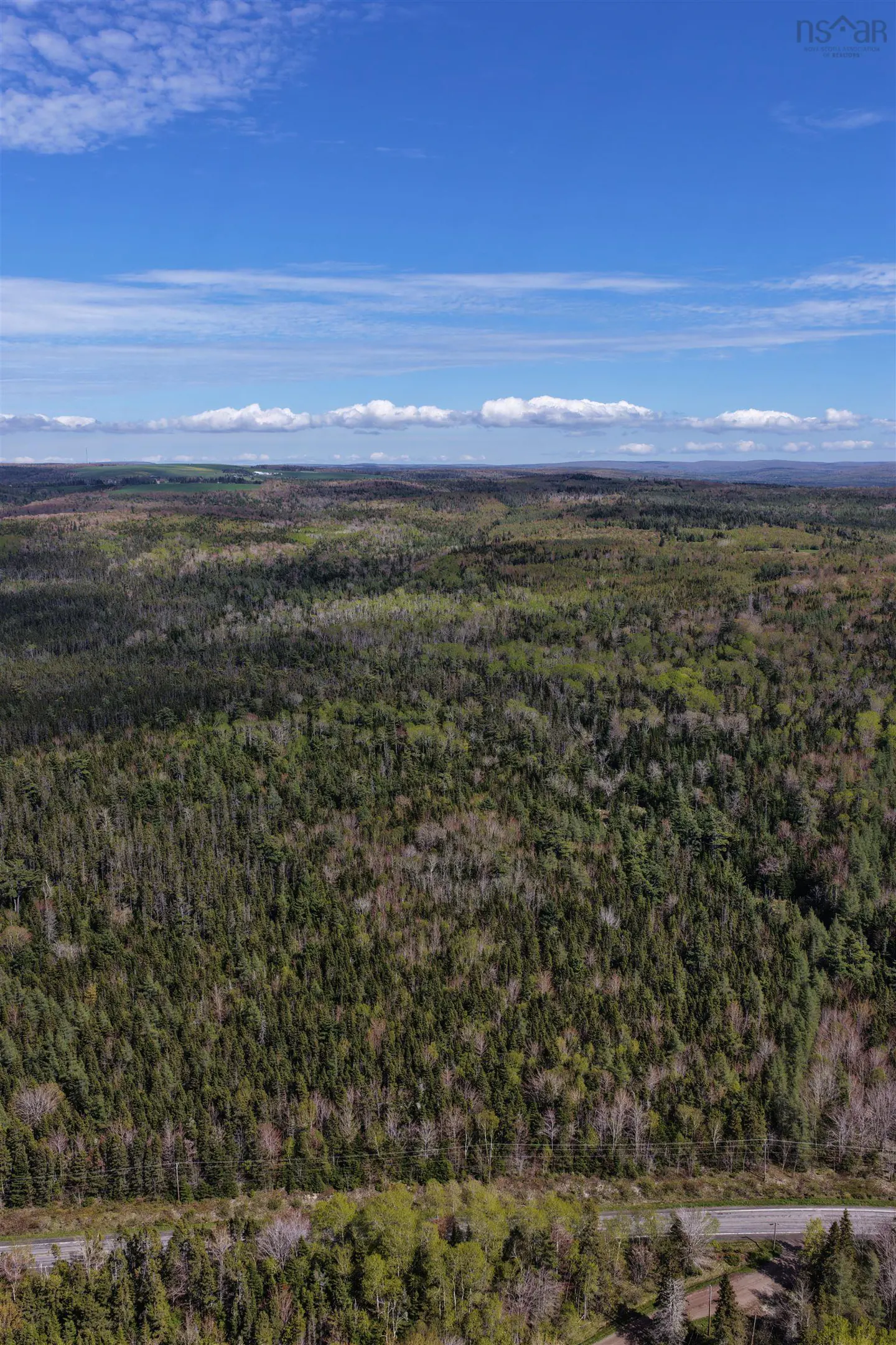 Aerial view of a vast, dense green forest under a bright blue sky with light clouds, bordering a paved road.