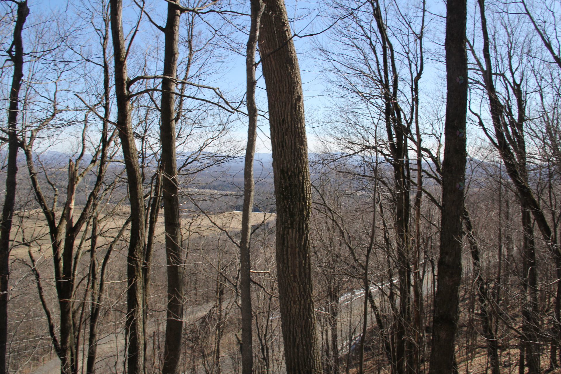 View of a valley through bare trees, with a road visible in the distance, under a blue sky.
