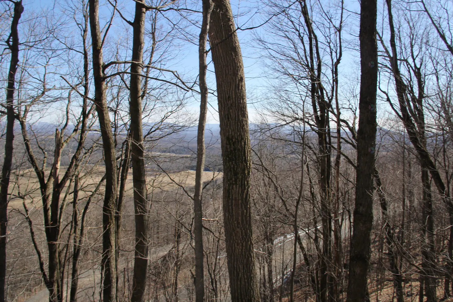 View of a valley through bare trees, with a road visible in the distance, under a blue sky.