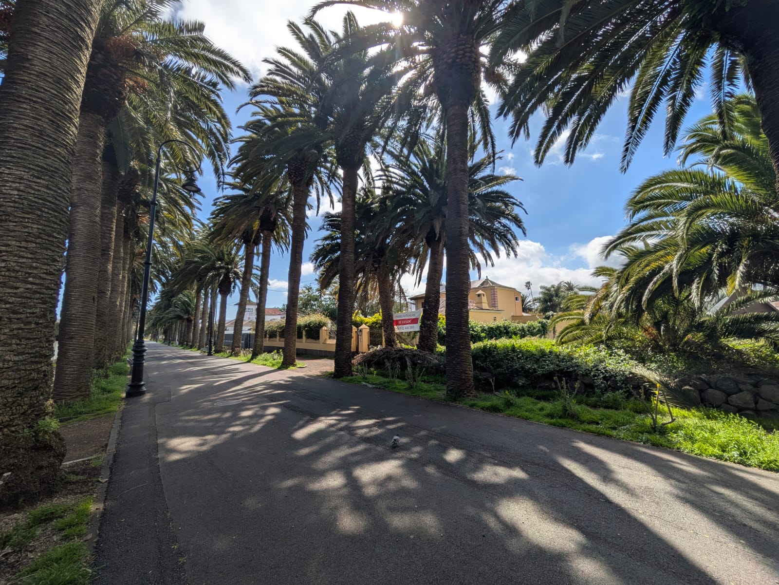 Stadtgrundstück am Camino Largo