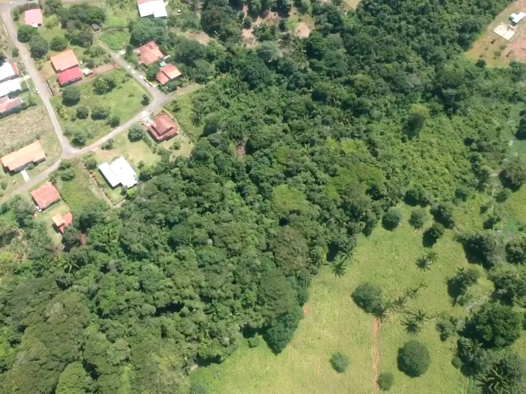 Aerial view of a neighborhood with houses, roads, and lush green trees and grass.