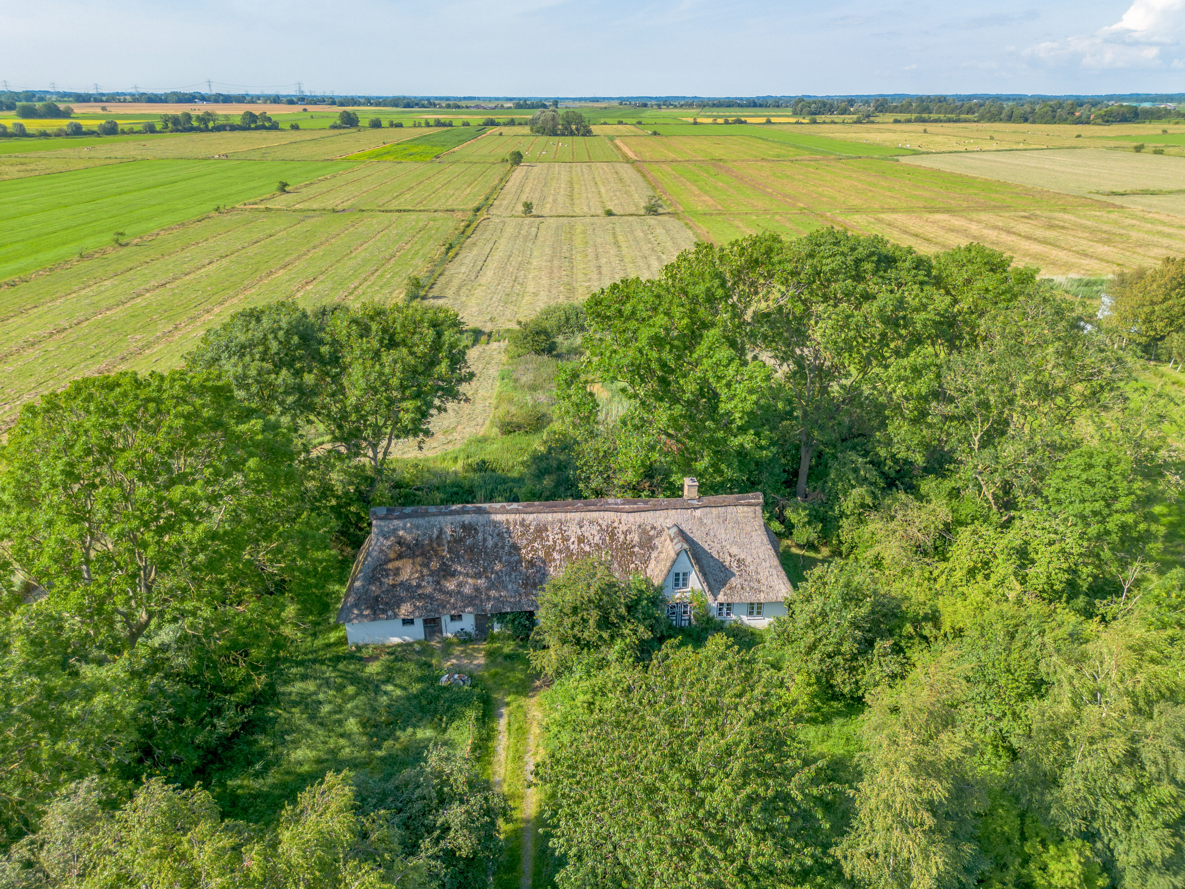 Reetdachhaus im Dornröschenschlaf - bereit für ein neues Kapitel