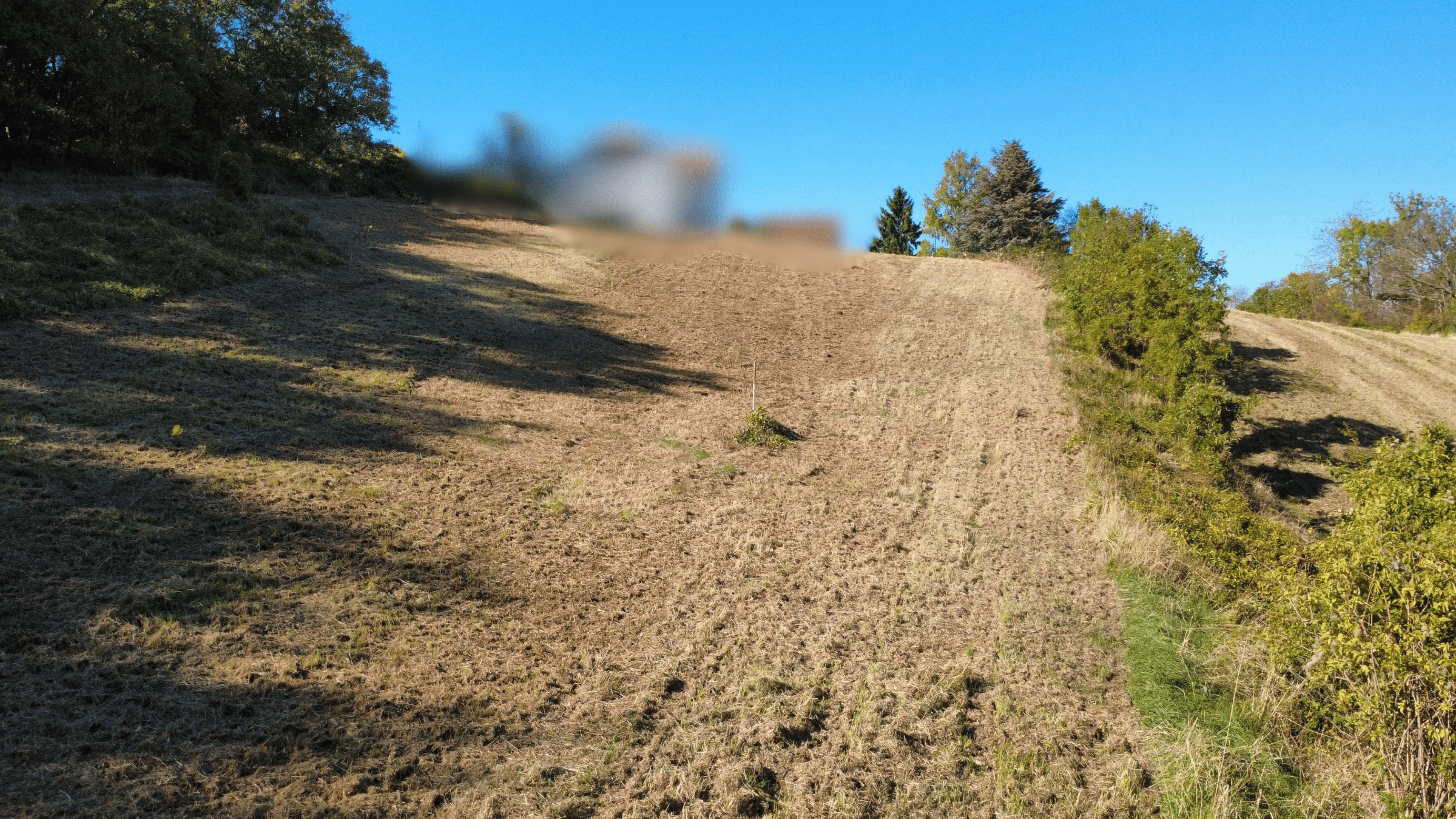 Representative living in Kammerjoch: Your dream home between idyllic nature and Vienna