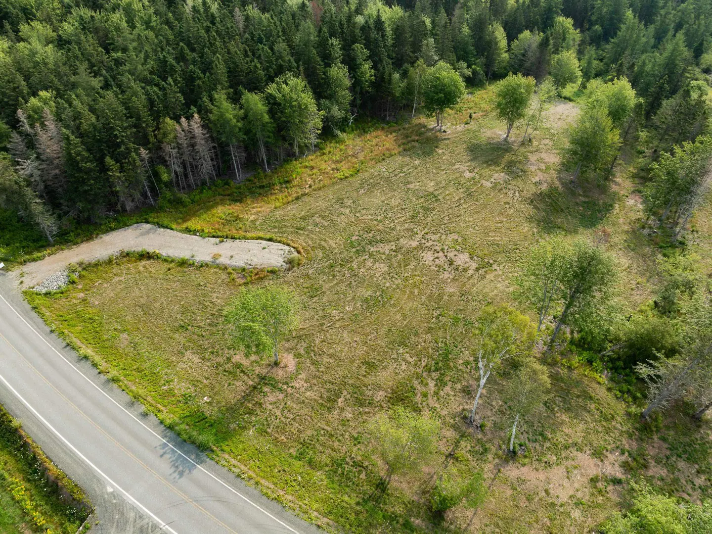 Aerial view of a grassy lot with scattered trees, bordered by a road and dense green forest. A gravel area sits near the road.